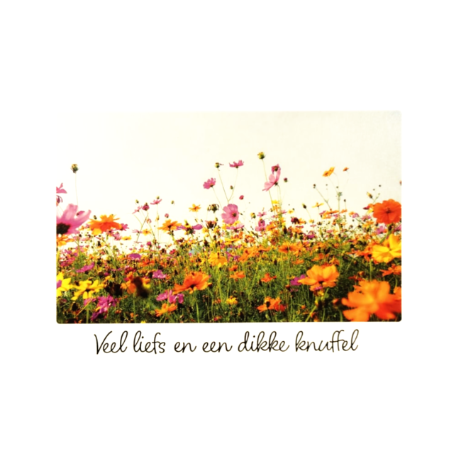 Artige Kaart - Little wishes - Veel liefs en een dikke knuffel - ECLT20-A