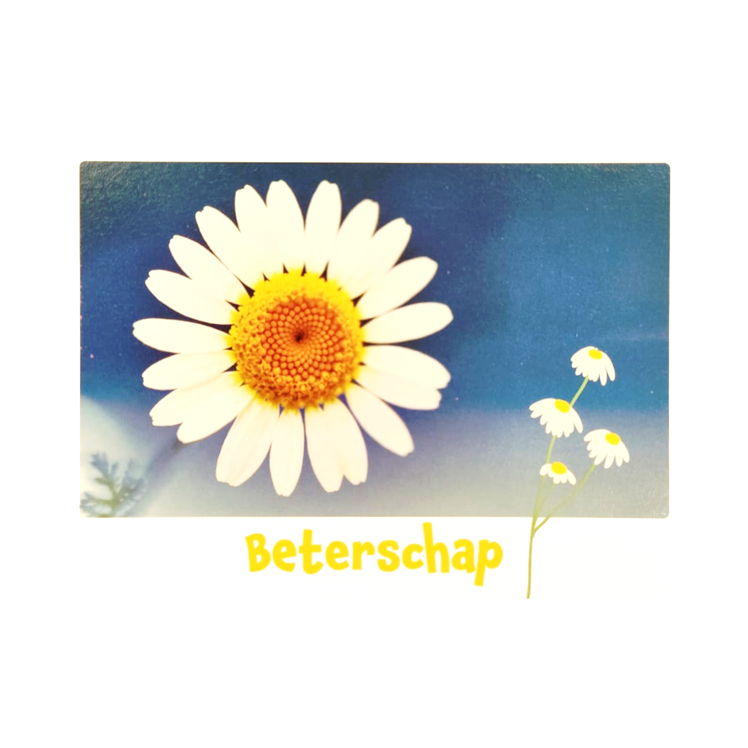 Kaart - Eco Cards - Beterschap - ECLT23-A
