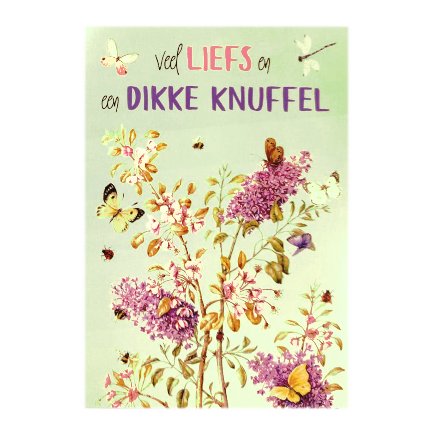 Kaart - JBS - Veel liefs en een dikke knuffel - JBR001-B