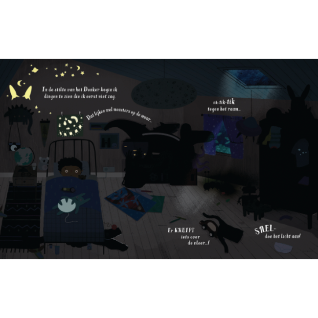 Boek - Ik ben niet (heel erg) bang in het donker - 3+