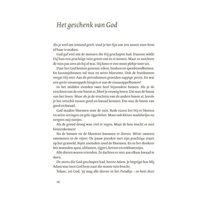 Boek - Kinder bijbel - 7+