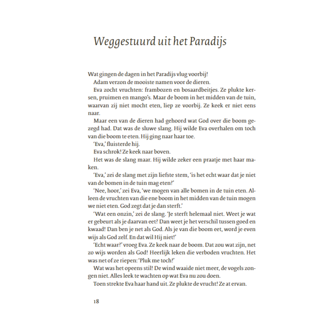 Boek - Kinder bijbel - 7+