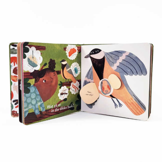 Gottmer Boek - Wat zit er in die dikke buik? - 2+