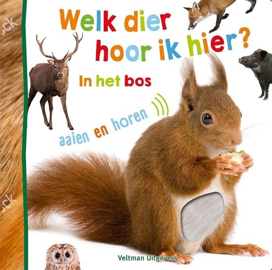 Boek - Welk dier hoor ik hier - In het bos - Met geluid - 1+