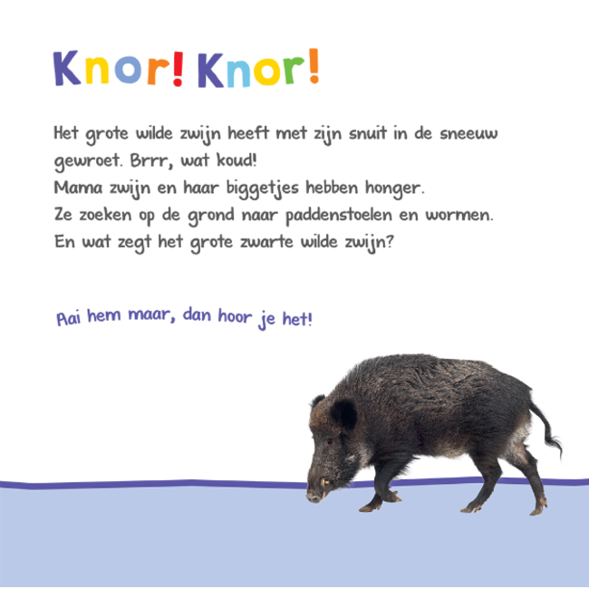 Veltman Boek - Welk dier hoor ik hier - In het bos - Met geluid - 1+