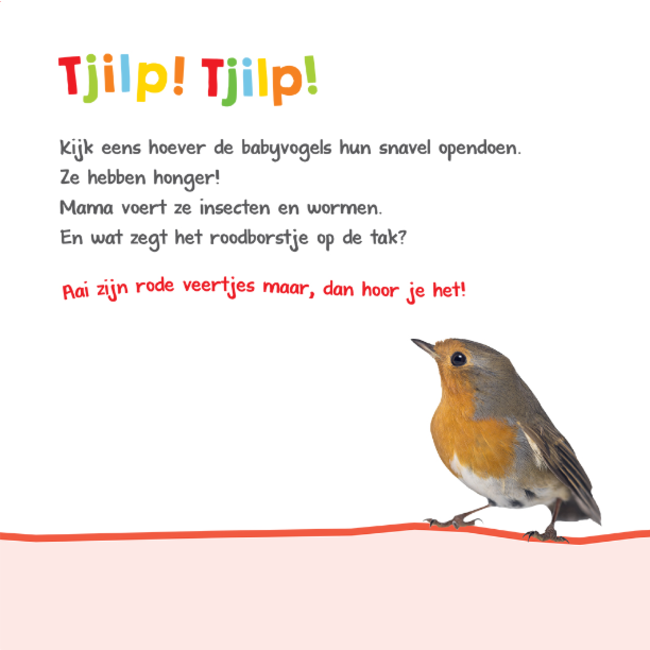 Veltman Boek - Welk dier hoor ik hier - In de natuur - Met geluid - 1+