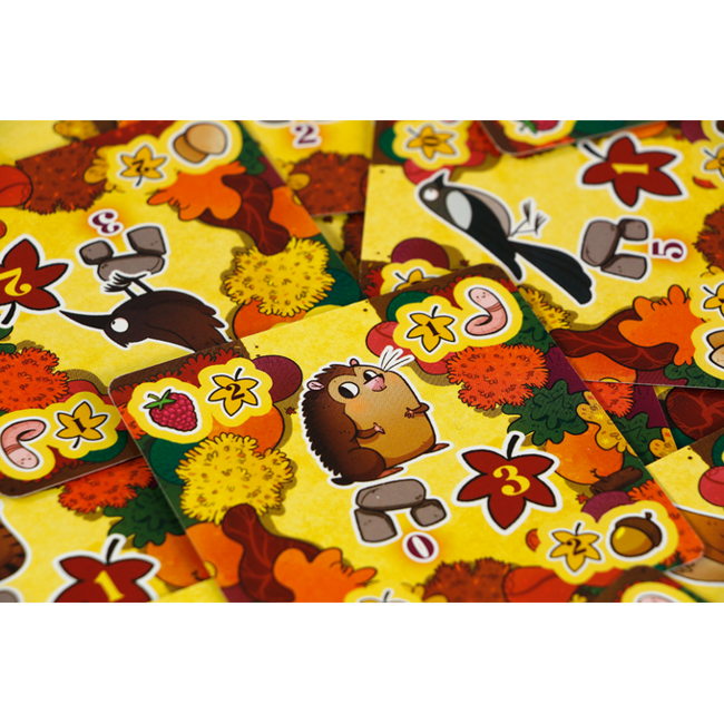 999 Games Spel - Bouwspel - Bosbuit - 10+