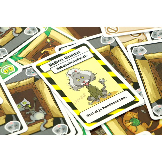 999 Games Spel - Blufspel - Schrödinger's katten - 10+