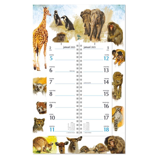 Comello Week omlegkalender - 2025 - Op schild - Rien Poortvliet - Natuur - Giraffe - 21x34cm