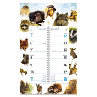 Comello Week omlegkalender - 2025 - Op schild - Rien Poortvliet - Natuur - Zeehond - 21x34cm