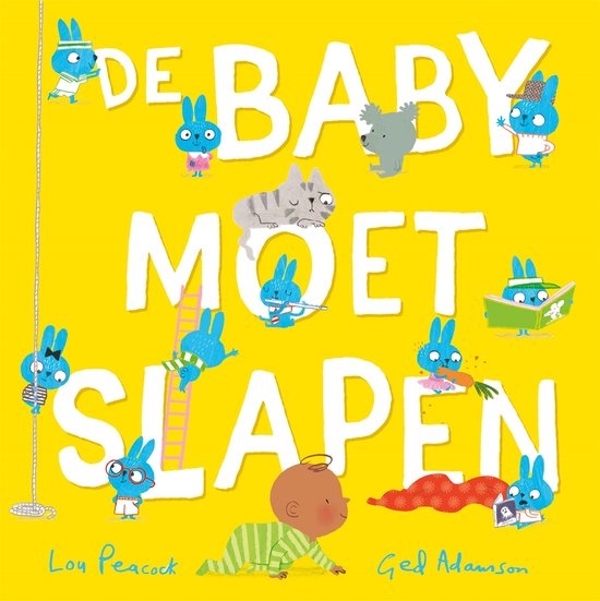 Boek - De baby moet slapen - 3+