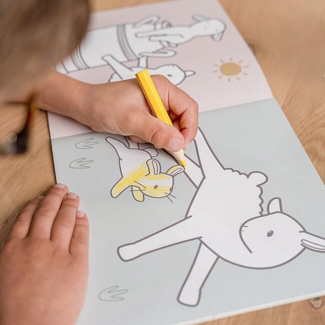 Little Dutch Kleurboek - Little farm - 2+