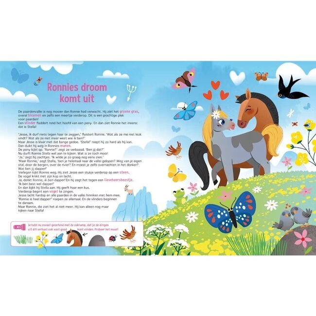 Lantaarn Boek - Speuren naar paarden