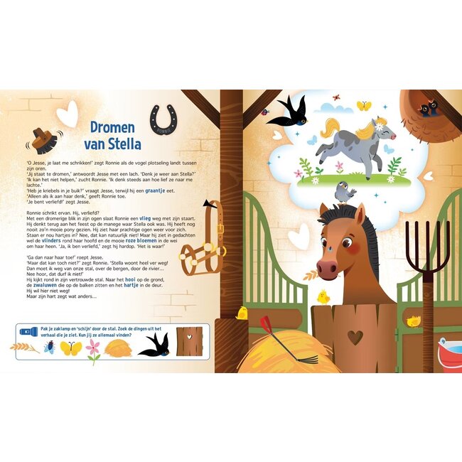 Lantaarn Boek - Speuren naar paarden