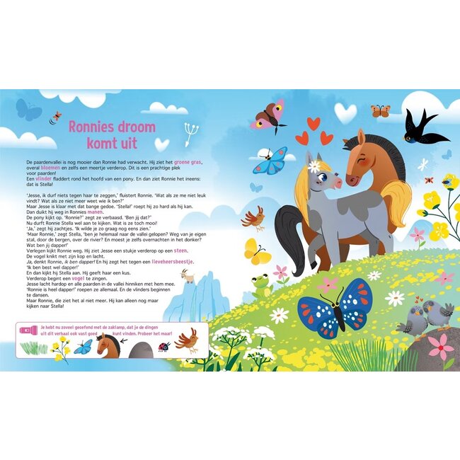 Lantaarn Boek - Speuren naar paarden