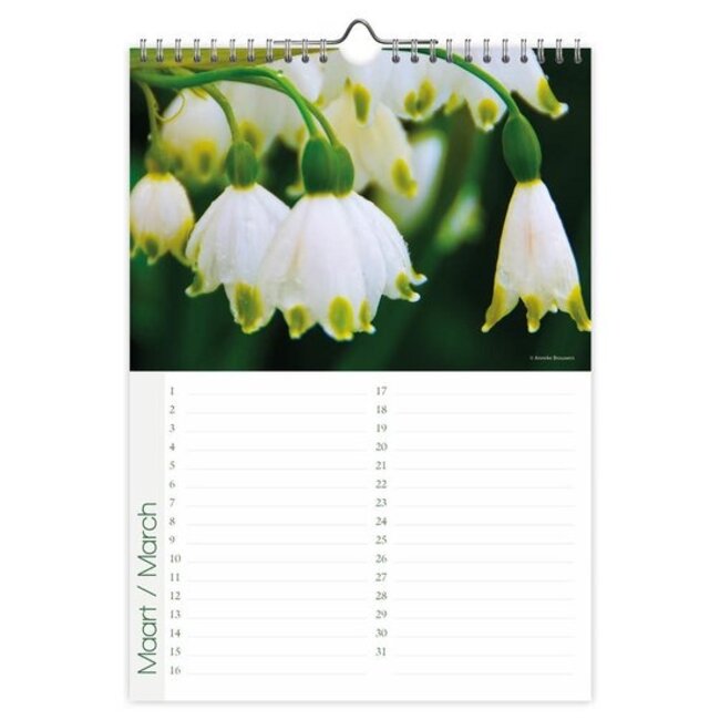 Comello Verjaardagskalender - Flowers