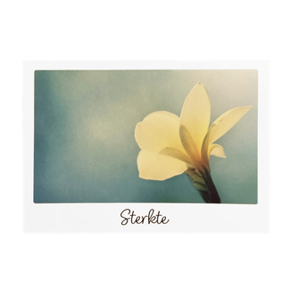 Artige Kaart - Sterkte - Little wishes - ECLT25-A