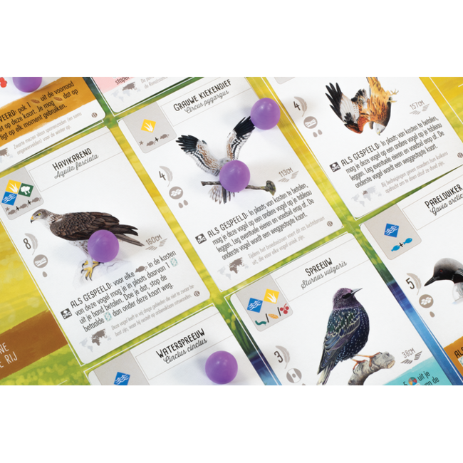 999 Games Spel - Bordspel - Wingspan - Uitbreiding Europa - 1 tot 5 spelers - 10+