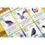 999 Games Wingspan - Bordspel - Uitbreiding Europa - 10+