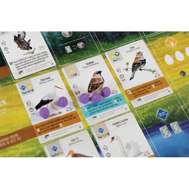 999 Games Wingspan - Bordspel - Uitbreiding Europa - 10+