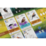 999 Games Spel - Bordspel - Wingspan - Uitbreiding Europa - 1 tot 5 spelers - 10+