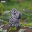 Eugy Bouwpakket - Eugy 3D - Wild dier - Zebra - 27st. - 6.2x4.4x6.8cm - Karton - 6+