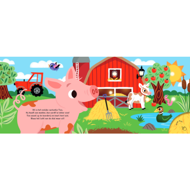 Lantaarn Boek - Slaap lekker, kleintje - Op de boerderij - Met licht