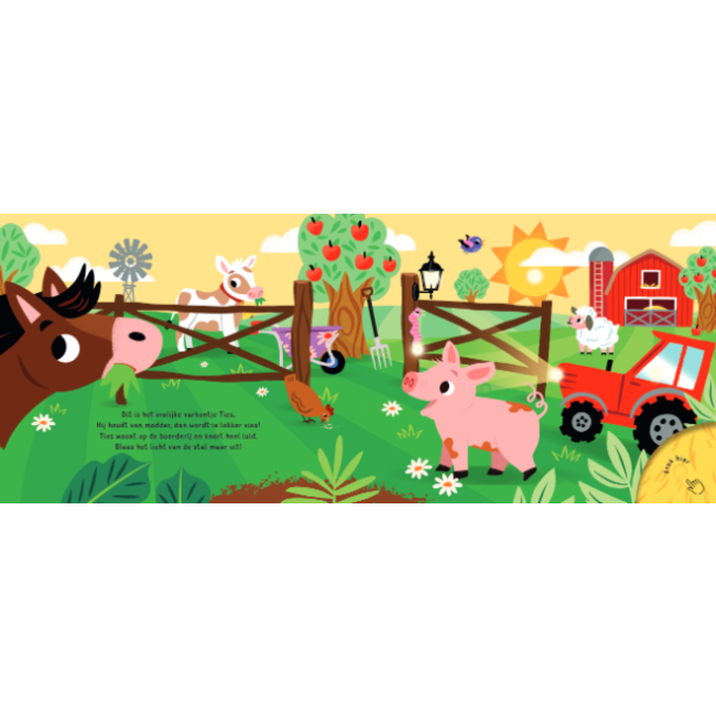 Lantaarn Boek - Slaap lekker, kleintje - Op de boerderij - Met licht