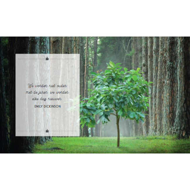 Lantaarn Boek - Cadeauboek - Hoera 60 jaar - 13x16cm