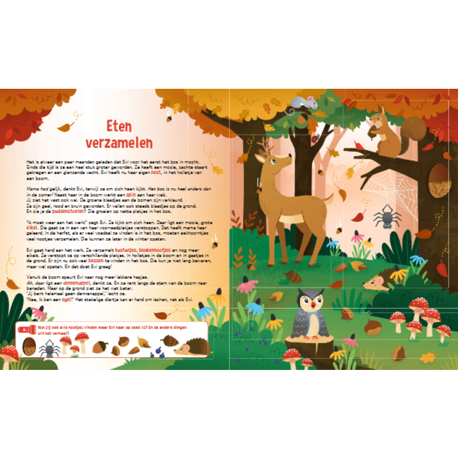 Lantaarn Boek - Speuren in het bos