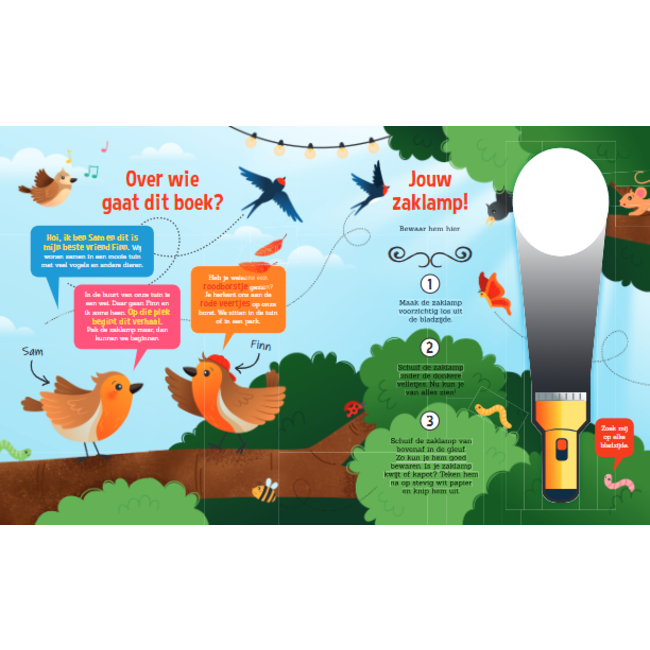 Lantaarn Boek - Speuren naar vogels