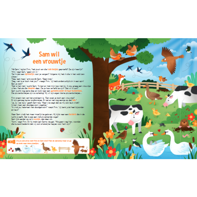 Lantaarn Boek - Speuren naar vogels