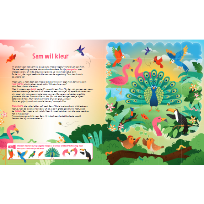 Lantaarn Boek - Speuren naar vogels