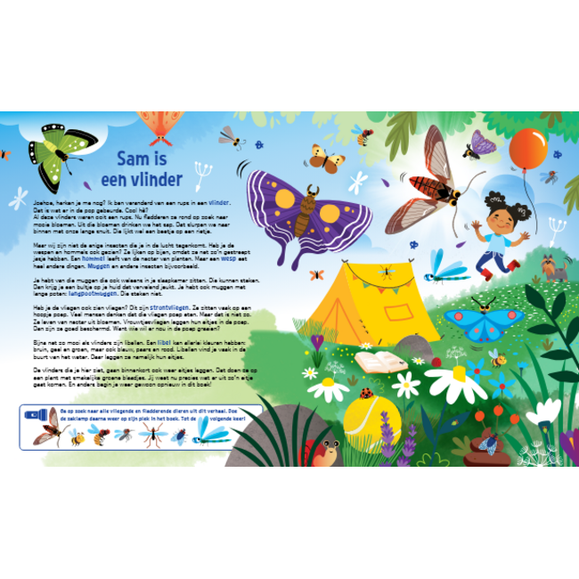 Lantaarn Boek - Speuren naar insecten