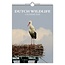 Comello Maand kalender - 2026 - Dutch wildlife - 23,5x33,5cm
