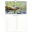 Comello Maand kalender - 2026 - Dutch wildlife - 23,5x33,5cm