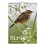 Comello Maand kalender - 2026 - Vogels - Birds - 23,5x33,5cm