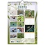 Comello Maand kalender - 2026 - Vogels - Birds - 23,5x33,5cm