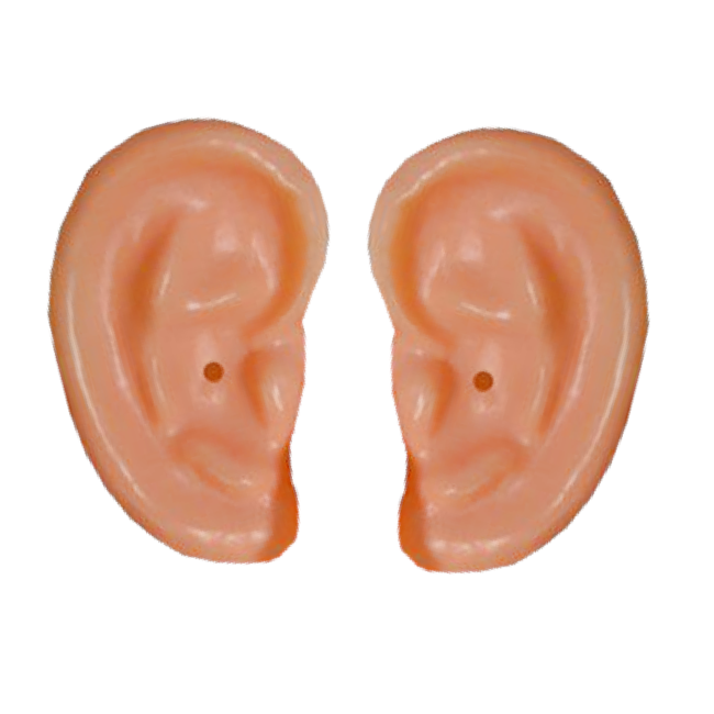 Haza-Witbaard Grote oren - Los - PVC