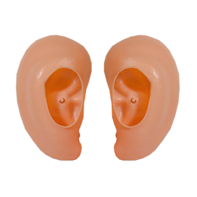 Haza-Witbaard Grote oren - Los - PVC