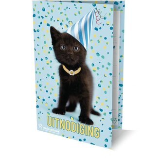 ImageGroup Uitnodigingskaarten - Kitten met feesthoedje - 6st.
