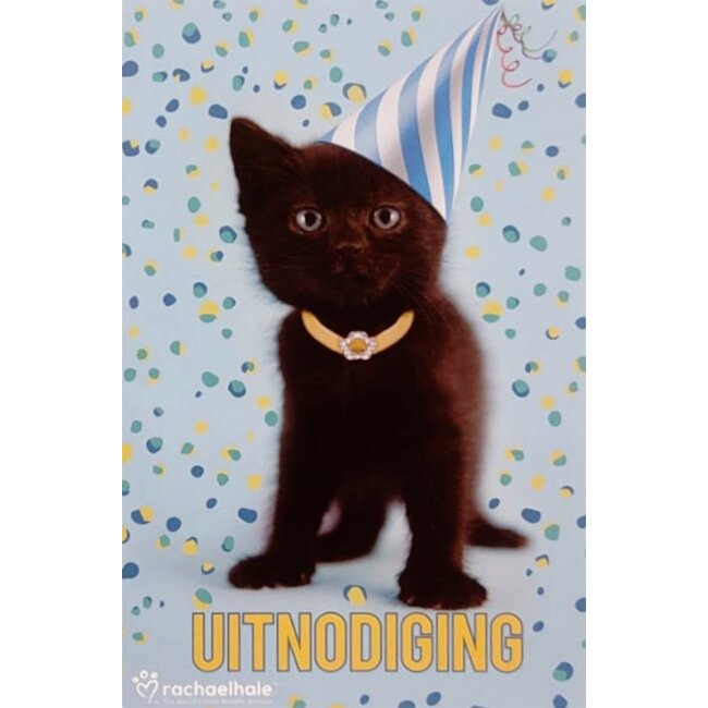 Interstat Uitnodigingskaarten - Kitten met feesthoedje - 6st.
