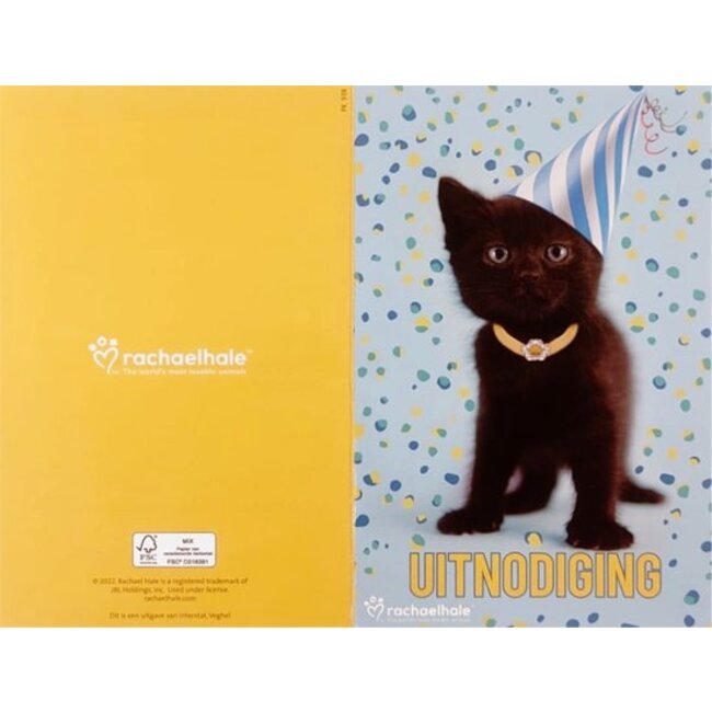 Interstat Uitnodigingskaarten - Kitten met feesthoedje - 6st.