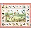 Puzzel - Flora en fauna in de sloot - 48st - Karton
