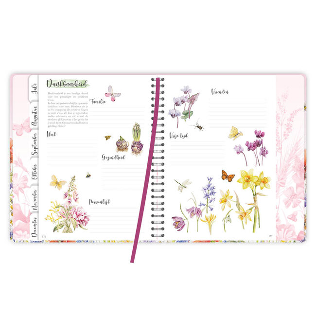 Comello Week planner - Agenda - 2026 - Janneke Brinkman - Klaproos - 16,3x20,3cm