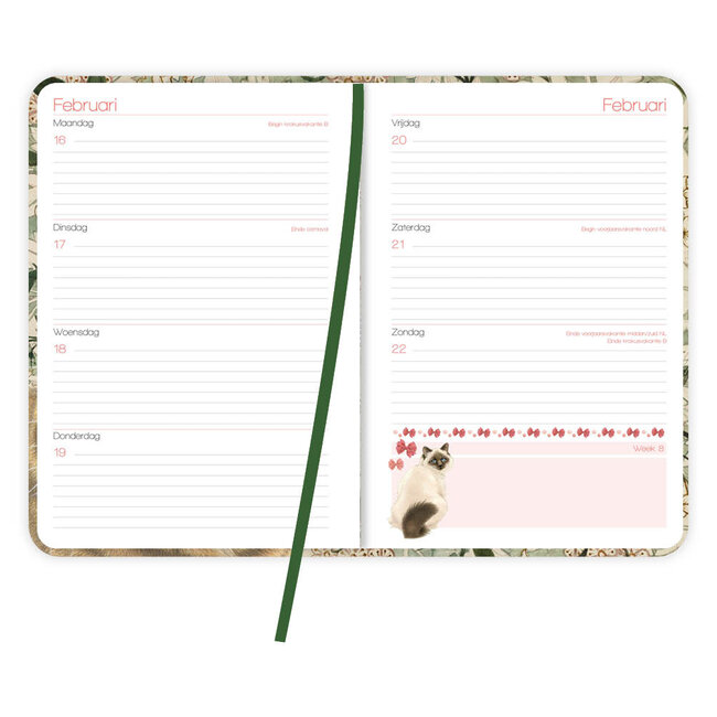 Comello Week agenda - 2026 - Franciens katten - Naughty - 12,7x17,8cm