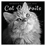 Comello Kalender - 2026 - Cat portraits - 30x30cm