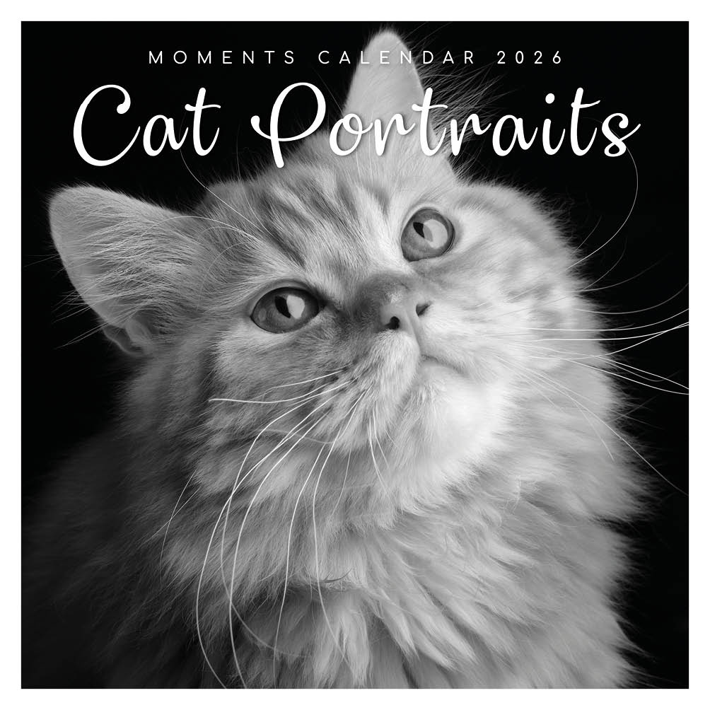 Kalender - 2026 - Cat portraits - 30x30cm