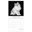 Comello Kalender - 2026 - Cat portraits - 30x30cm