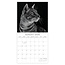 Comello Kalender - 2026 - Cat portraits - 30x30cm